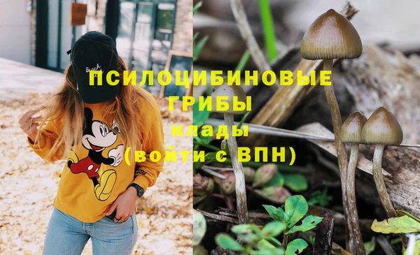 гашиш Магас