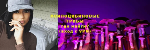 тгк Магадан