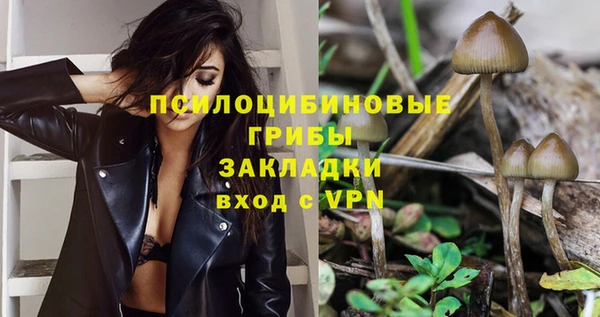 mdpv Майский