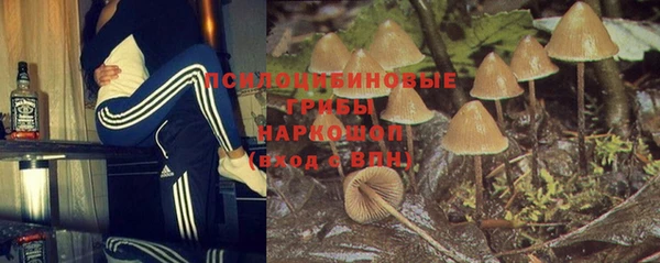mdpv Майский