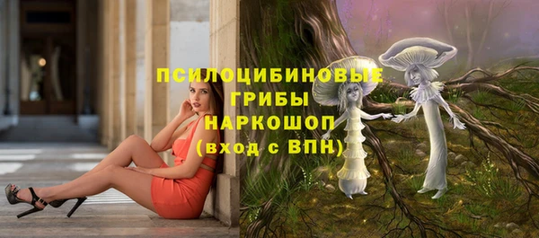 гидра Медногорск