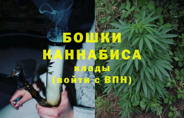 шишки Липки