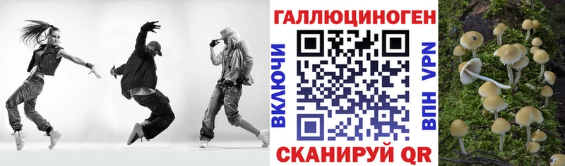 Псилоцибиновые грибы прущие грибы  Лесозаводск 