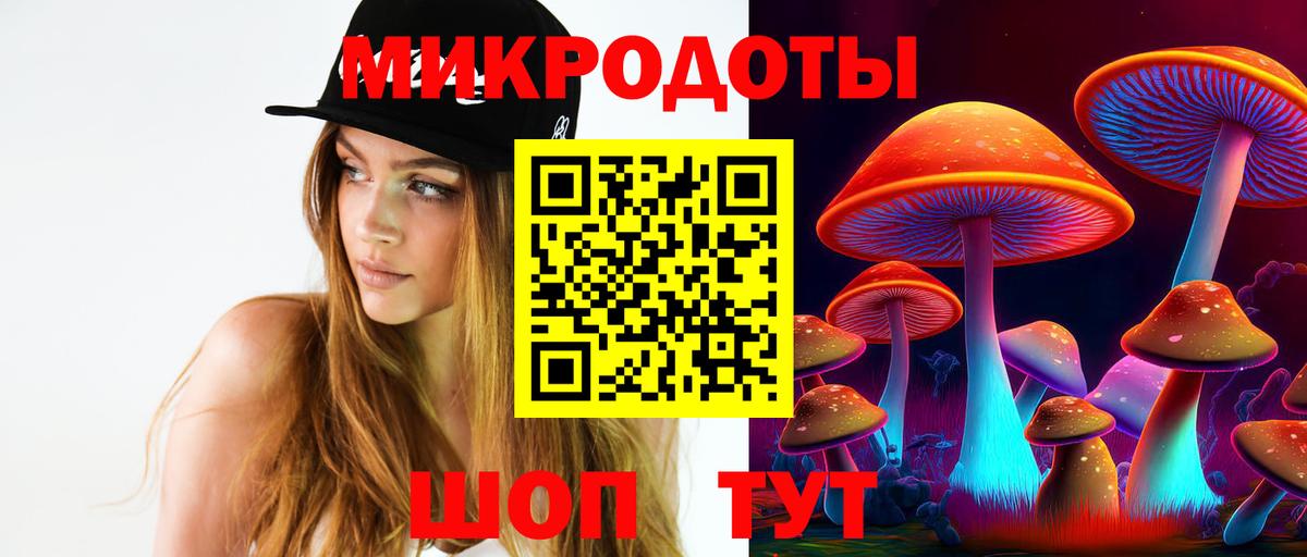 Псилоцибиновые грибы Cubensis Лесозаводск